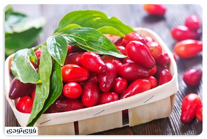 سوغات قزوین میوه و خشکبار در قزوین