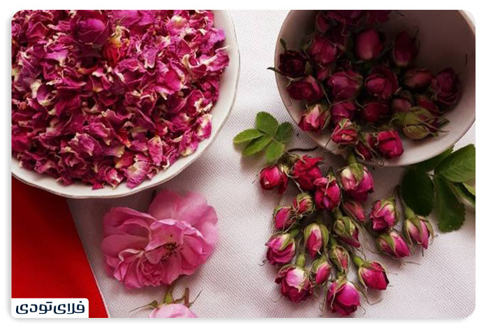سوغات کاشان غنچه گل محمدی از بهترین سوغاتی های کاشان