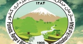 شهادت فرمانده یگان حفاظت منابع طبیعی کشور شهادت فرمانده یگان حفاظت منابع طبیعی کشور