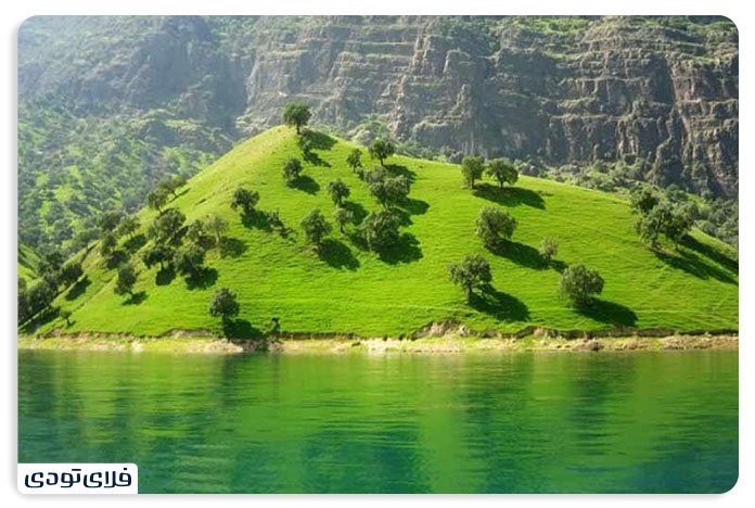 پارک جنگلی تمبی