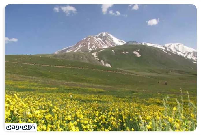 مشگین شهر هوشنگ میدانی، زیستگاههای ارزشمند حیاتوحش