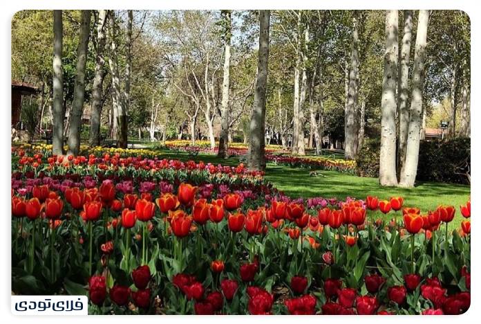 باغ گیاه شناسی تهران
