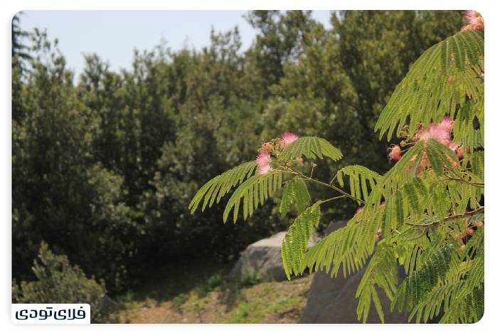 باغ گیاه شناسی ملی ایران