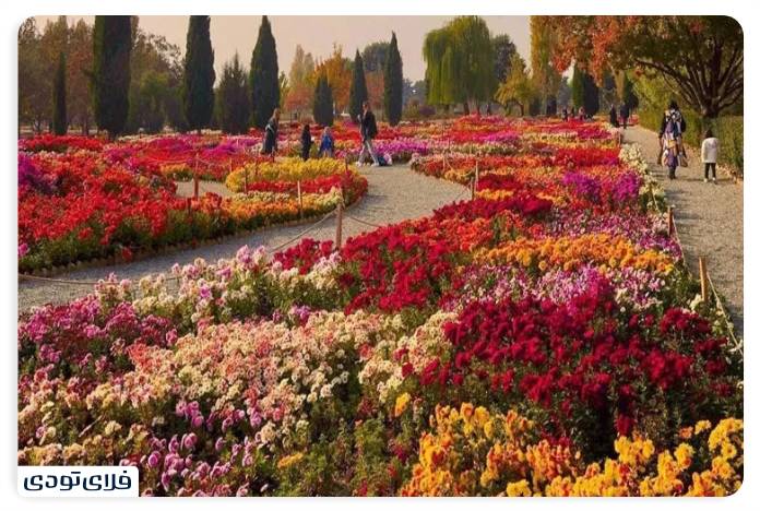 بخش باغ رز و چهار باغ ایرانی
