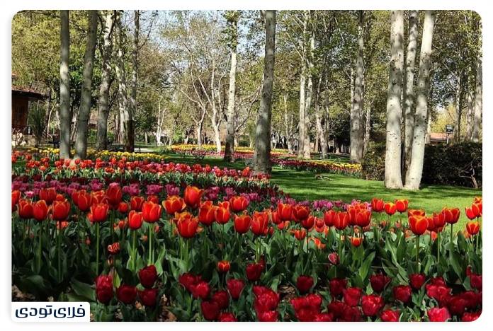معرفی باغ گیاه شناسی تهران | تجربه‌ای سبز در پایتخت