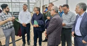 توسعه آبزی‌پروری نوین با محوریت تولید اسپیرولینا در استان بوشهر