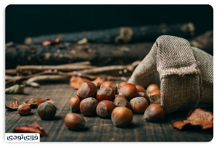 سوغات دیلمان
