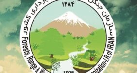 پیگیری بین‌المللی حمله به سازمان منابع طبیعی کشور