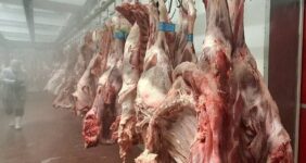 افزایش هزینه بستهبندی گوشت چقدر روی قیمت اثر دارد؟ / دبیر انجمن تولید و بستهبندی گوشت توضیح داد افزایش هزینه بستهبندی گوشت چقدر روی قیمت اثر دارد؟ / دبیر انجمن تولید و بستهبندی گوشت توضیح داد