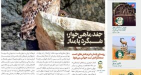 انتشار «زمینی‌ها» با رویکرد روستای گردشگری پامنار و جغد ماهی‌خوار