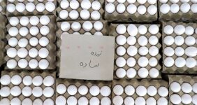 صادرات تخم مرغ دوباره آزاد شد
