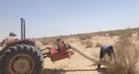 ملخ‌های بومی برای تولید خوراک طیور و آبزیان جارو می‌شوند