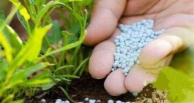 نسبت غلات به اوره به کف تاریخی رسید؛ خطر موج جدید تورم غذایی در جهان