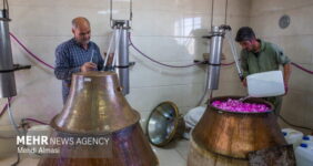 نمایشگاه گل و گلاب در بوستان باغ ایرانی برگزار می‌شود