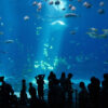 پژوهش جهانی بر پایه ۱۰۰ هزار نظر گردشگران؛ محبوب‌ترین جاذبه‌های جهان چگونه به «ناامیدی سفر» تبدیل شدند؟/ از آلتون تاورز بریتانیا تا حمام‌های تاریخی بوداپست