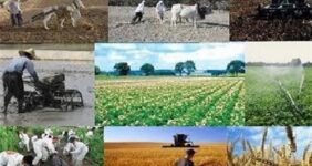 انتقال 90 درصد مجوزهای کشاورزی به سازمان نظام مهندسی