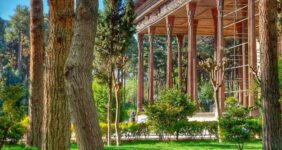 درختان ۴۰۰ ساله چهلستون اصفهان تحت حفاظت ویژه قرار گرفتند