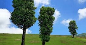 دشت مرکوه مینودشت؛ مقصدی آرام برای عاشقان طبیعت