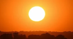 موج مرگبار گرما در آمریکا / دست‌کم ۲۵ نفر جان باختند