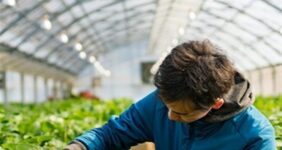 ببینید |65 درصد مهندسان کشاورزی بیکارند یا شغل تخصصی ندارند