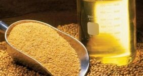 ثبت سفارش واردات انواع روغن از امروز آغاز شد