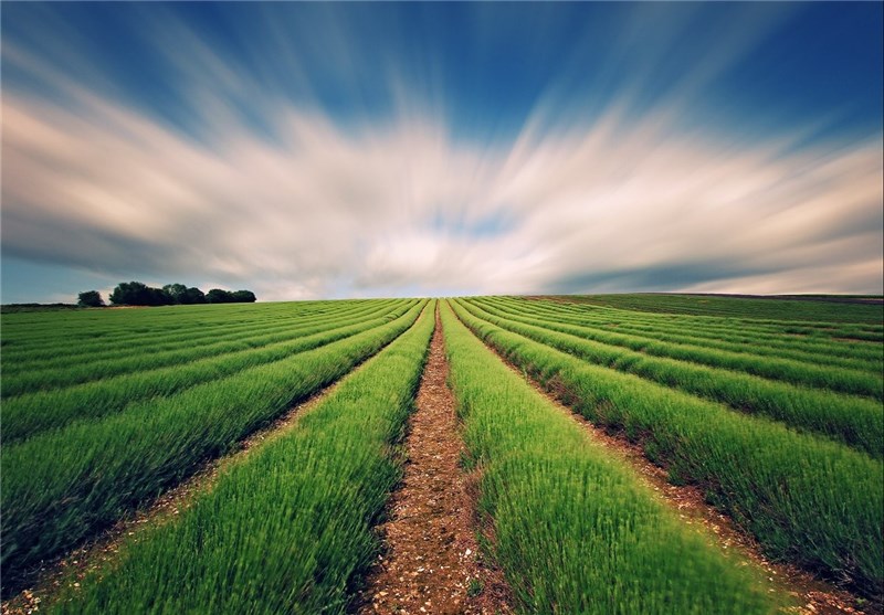 هشدار هواشناسی کشاورزی؛ از رگبار‌های ناگهانی تا گرد و غبار