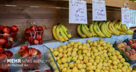 میوه‌های مفید برای سلامت کلیه را بشناسیم